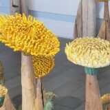 IMG_20210704_115133