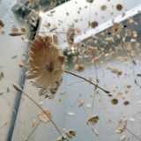 IMG_20210704_115259