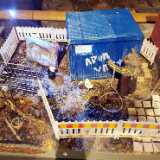 IMG_20210704_124419