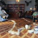 IMG_20210829_131427