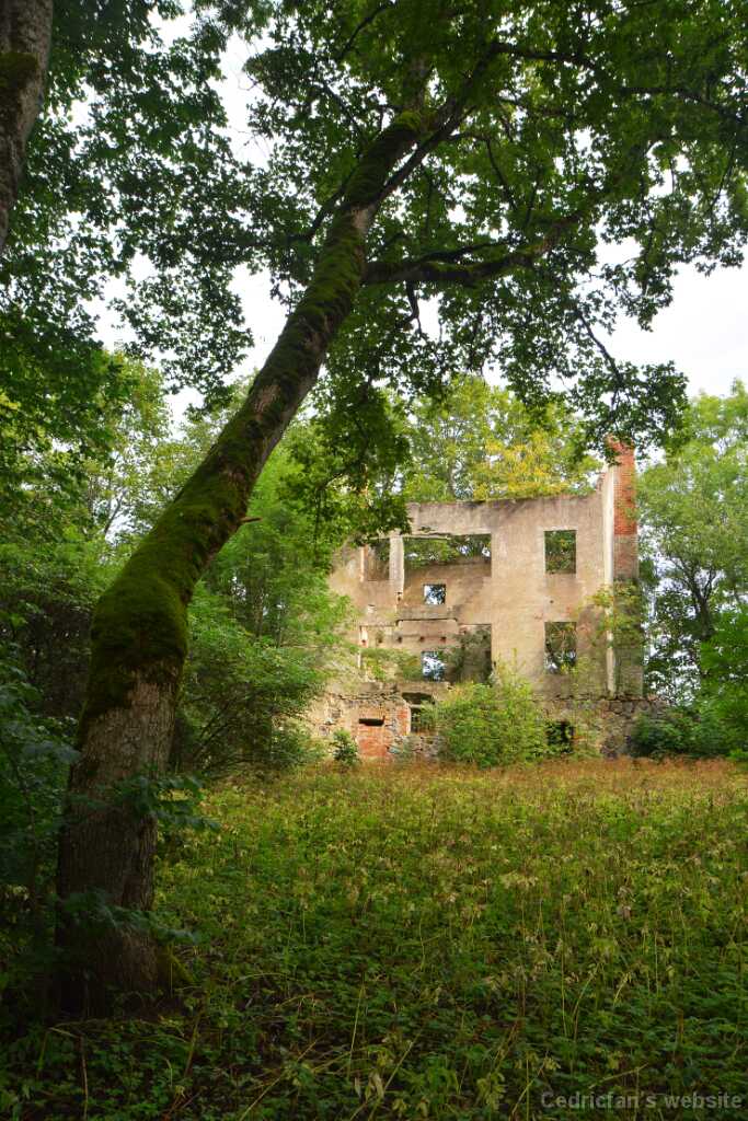 DSN_0518