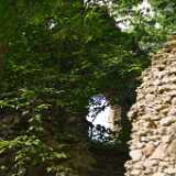 DSN_0524