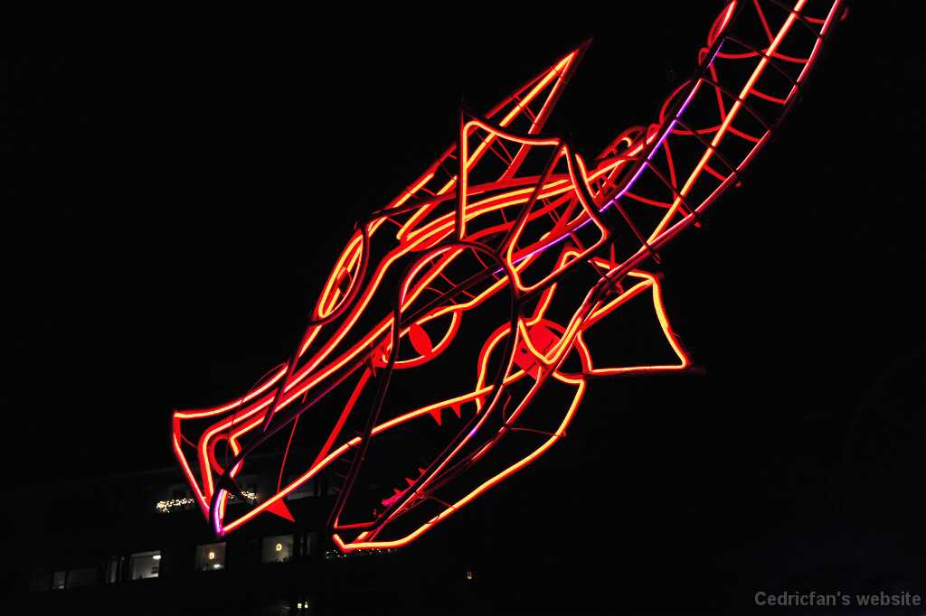 DSC_0711
