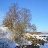 21_01_Nautelankoski