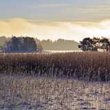 21_01_Winter