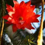 DSN_0690