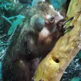 IMG_20220410_102803