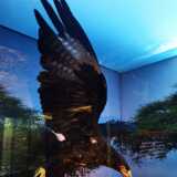 IMG_20220410_103304