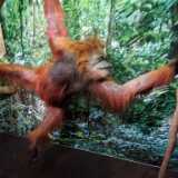 IMG_20220410_103735