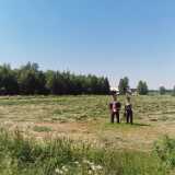 IMG_20220625_143311