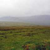 DSN_0983