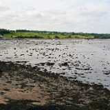 02_Blackness Castle