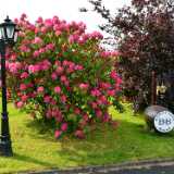 04_Stirling