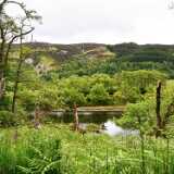 11_Ben Wyvis