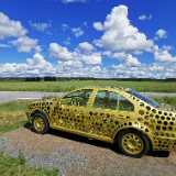 IMG_20220710_125312