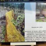 IMG_20220710_134632