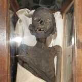 IMG_20220823_152618