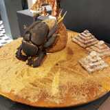 IMG_20221228_171920