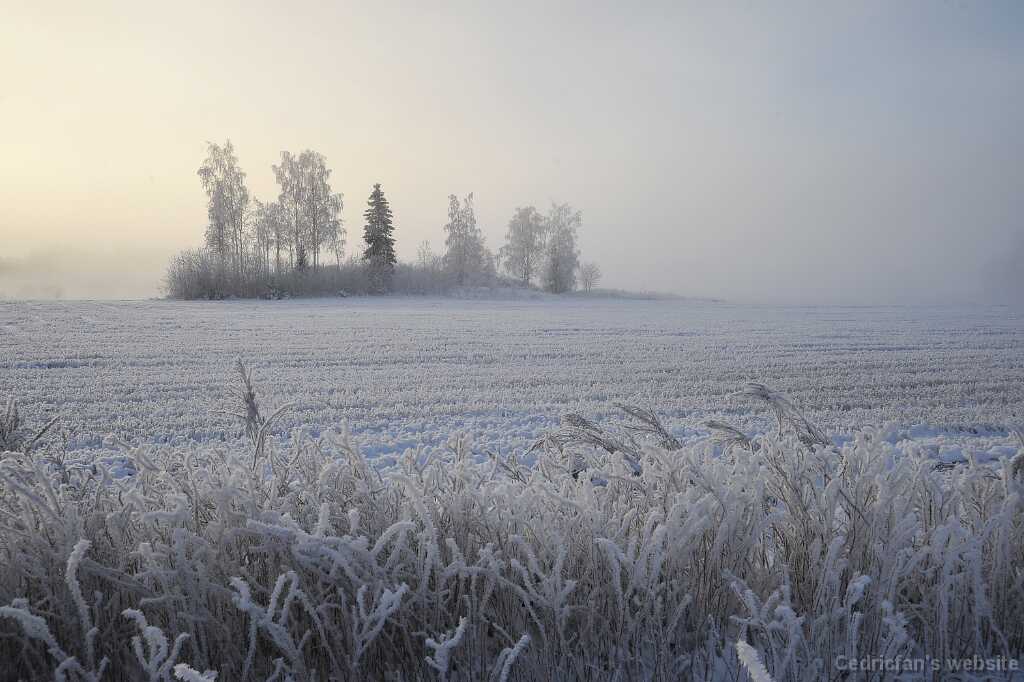DSC_1339