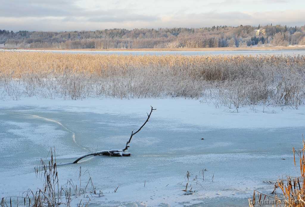 DSC_1341