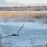 DSC_1341