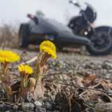 IMG_20220418_1