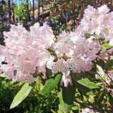 IMG_20220616_173634