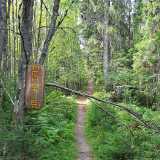 22_08_Mehutie1