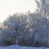 22_12_XmasWinter