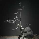 IMG_20230122_112820