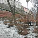 IMG_20230319_143205