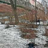 IMG_20230319_143205b