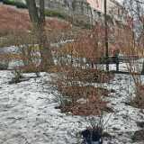 IMG_20230319_143205c