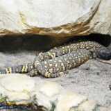 DSC_1837