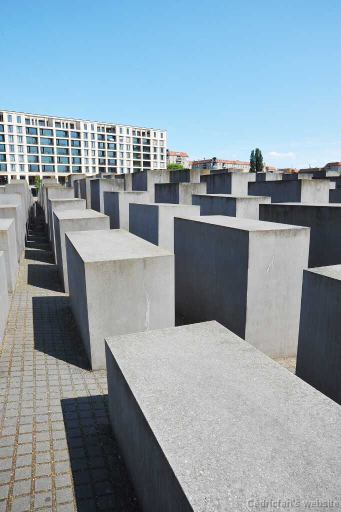 DSC_1558