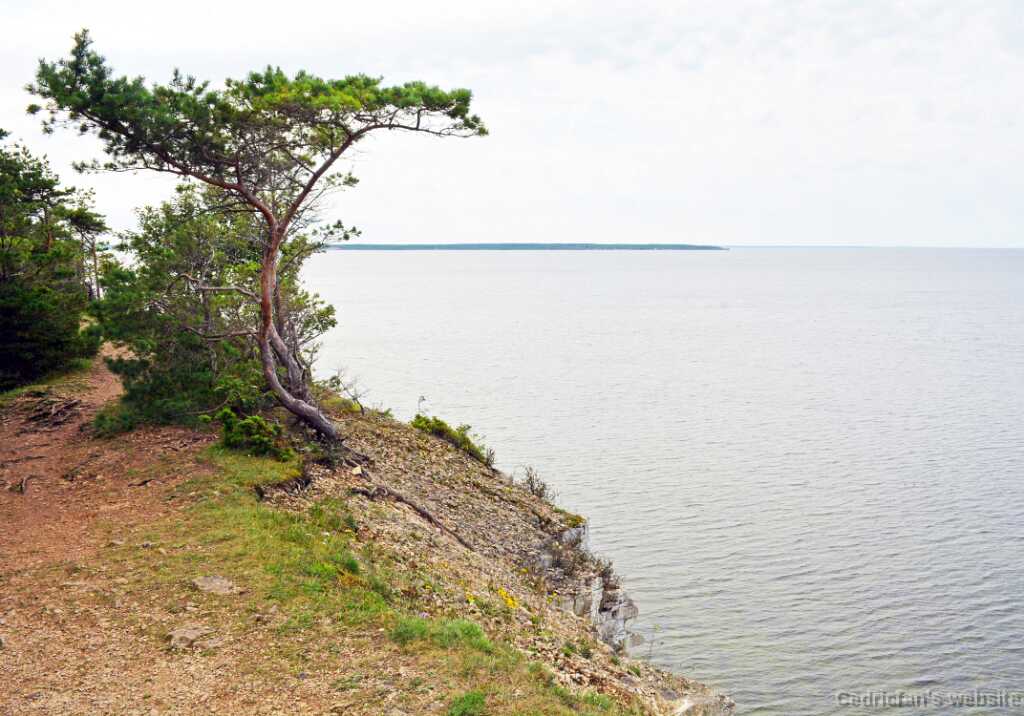 DSO_1656