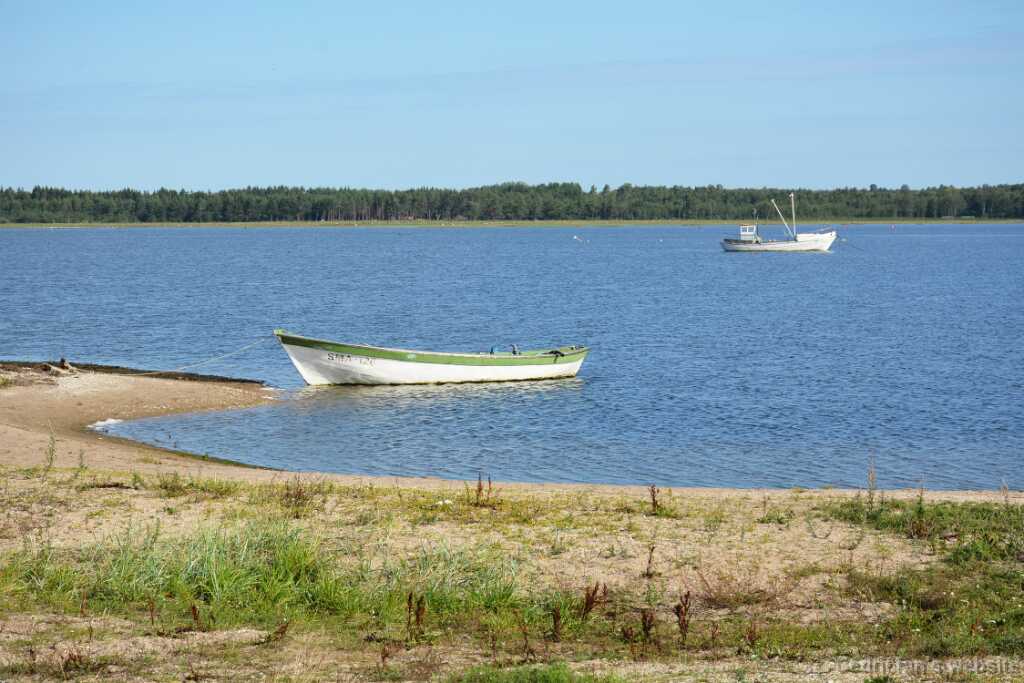 DSO_1631