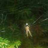 IMG_20230814_175048