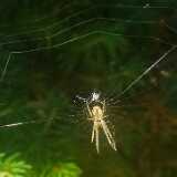 IMG_20230814_175052