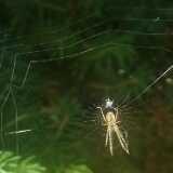 IMG_20230814_175052_1