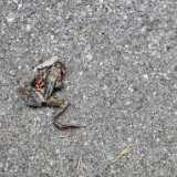 IMG_20230819_140821
