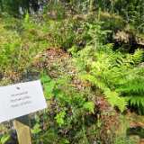 IMG_20230822_130942