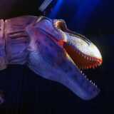 IMG_20230813_103009