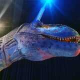 IMG_20230813_103016