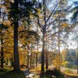 IMG_20231029_135213