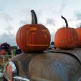 IMG_20231014_181135