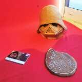 IMG_20231227_143036