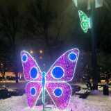 IMG_20231228_175650
