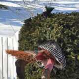 IMG_20230407_142300