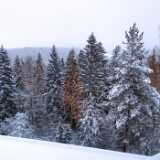 IMG_20231031_160254